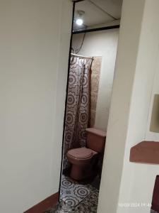 Antigua Sweet Apartment في أنتيغوا غواتيمالا: حمام مع مرحاض ودش