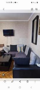 ein Wohnzimmer mit Sofa und Fernseher in der Unterkunft Apartmnet on Machabeli 20 in Tbilisi City