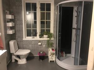 a bathroom with a shower and a toilet and a sink at Dr Haave- middle of nowhere, pikeværelset in Sand