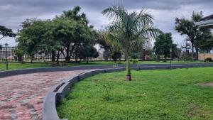 a palm tree in the middle of a park at Modern and Stylish 2-Bed Cottage in Harare in Harare