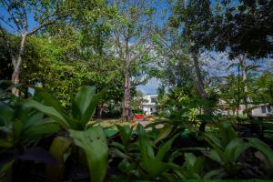 Casa Playa Hermosa في كانكون: اطلاله على حديقة فيها اشجار ومبنى