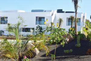 a white building with plants in front of it at Casa Lucia in Villaverde