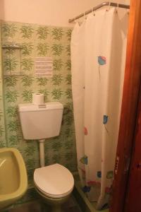 a bathroom with a toilet and a shower curtain at Cozy double apartment near the sea in Tolo