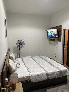 um quarto com uma cama e uma televisão de ecrã plano em Luxe akpakpa em Agbato