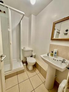 a bathroom with a toilet and a sink and a shower at Saint Saviour's Apt Waterford in Waterford