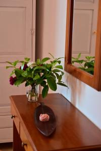 un jarrón con una planta encima de una mesa en Villa Efterpi, en Kontokali