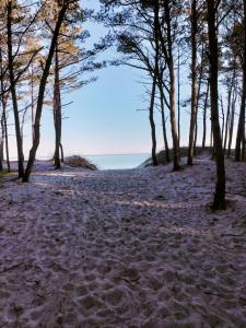 Φυσικό τοπίο κοντά σε αυτό το διαμέρισμα