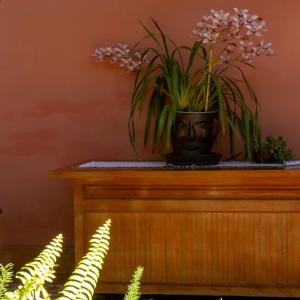 un jarrón con flores encima de una mesa en La Casa B & B, en Pátzcuaro