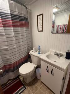 a bathroom with a toilet and a sink at Cozy chalet near the beach in Shediac