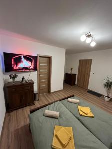 a bedroom with a large bed with a tv on the wall at Sládkovičov dvor in Banská Štiavnica