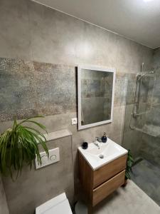 a bathroom with a sink and a shower and a toilet at Sládkovičov dvor in Banská Štiavnica