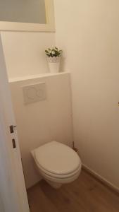 baño con aseo blanco con una planta en el estante en Appartement - centre historique, en Morlaix