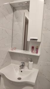 uma casa de banho com um lavatório branco e um espelho. em Apartman Ena em Bileća