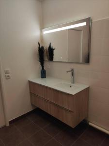 a bathroom with a sink and a mirror at Evasion verdoyante à Disney in Bussy-Saint-Georges +22 photos