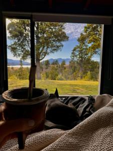 a window with a potted plant and a view of a field at Casa de Campo con tina de agua caliente in Trevelin