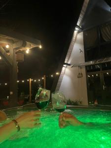 a person holding two glasses of wine in a swimming pool at Forest A-frame-Porumbacu in Porumbacu de Sus