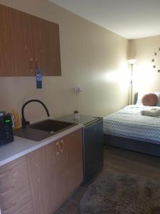 Ένα ή περισσότερα κρεβάτια σε δωμάτιο στο Studio apartman Alisa