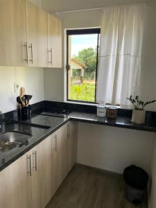 Kuchyň nebo kuchyňský kout v ubytování Residencia Piri 1