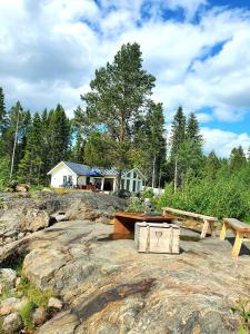 Robertsfors的住宿－Stuga med havsutsikt，一张野餐桌和一张大岩石上的长凳