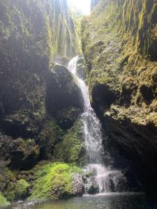 Un paisaje natural cerca del departamento