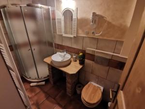 a small bathroom with a sink and a shower at Světnice U Koudelníka in Kutná Hora