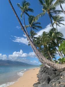 un gruppo di palme su una spiaggia di Go Camp Maui-Exploring Maui in a Campervan a Ah Fong Village