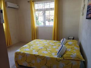 a bedroom with a bed with a yellow comforter and a window at Posh Homes Getaway in Christ Church
