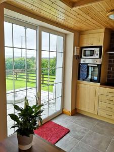 uma cozinha com uma grande janela e uma planta em Woodmount Cottage em Ennistymon