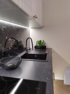 a kitchen with a sink and a black counter top at Old street apartment in Šiauliai