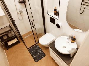 a bathroom with a sink and a shower and a toilet at Old street apartment in Šiauliai