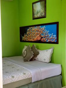 a bedroom with a green wall with a bed with pillows at Cas Bed and Breakfast in Corral Spring