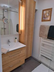 bagno con lavandino e specchio di Studio Beauvais a Beauvais