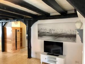 a living room with a flat screen tv on a wall at Joels Luxus Lounge mit Sauna, Bar & Wirlpool in Steinhude in Steinhude