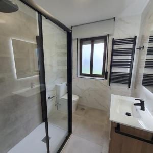 a bathroom with a shower and a sink and a toilet at MIRADOR PIE DE LA SIERRA in Llanes
