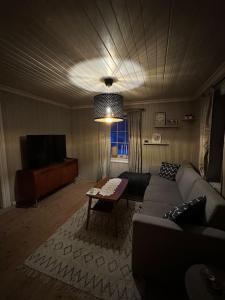 ein Wohnzimmer mit einem Sofa und einem TV in der Unterkunft Koselig hytte, nær Finnskogen og Vålerbanen in Åsnes
