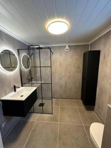 ein Bad mit einem Waschbecken und einem Spiegel in der Unterkunft Koselig hytte, nær Finnskogen og Vålerbanen in Åsnes