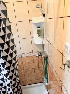 La salle de bains est pourvue d'une douche avec un pommeau de douche. dans l'établissement Kuća Antibarium, à Sutomore