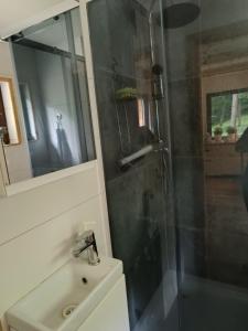 een badkamer met een douche en een wastafel bij Dom całoroczny in Wojsławice