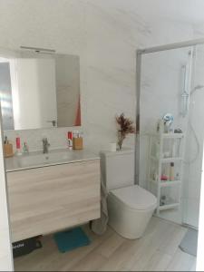 La salle de bains est pourvue de toilettes, d'un lavabo et d'un miroir. dans l'établissement Pisito de Ainho, à León