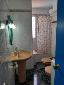 een badkamer met een wastafel, een toilet en een douche bij Apartbeach Marina in Candelaria