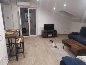 a living room with a dog sitting on the floor at Apartman Emily in Čavle