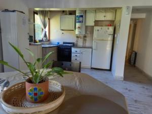 a kitchen with a table with a potted plant on it at Aires de Vistalba in Ciudad Lujan de Cuyo