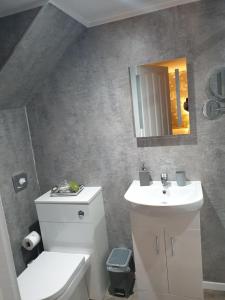 Koupelna v ubytování Craigmount