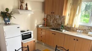 a kitchen with a white refrigerator and a sink at Maria Apartments in Paleros