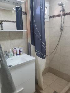 łazienka z prysznicem i umywalką w obiekcie Квартира Халкидики Флогита / Ferienwohnung Chalkidiki Griechenland w mieście Flogita +19 zdjęć