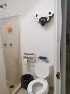 TechohにあるPARAISO TROPICALの小さなバスルーム(トイレ、シャワー付)