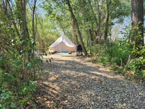 une tente blanche au milieu d'une forêt dans l'établissement #3 Willow Tree, à Drumheller