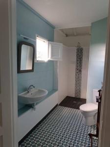 La salle de bains est pourvue d'un lavabo et de toilettes. dans l'établissement La Petite Charmeuse, à Fort-de-France