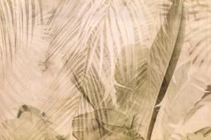 a close up of a plant with leaves at Le note di Fred Rent Room in Campobasso