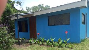 een blauw huis met een raam en een aantal planten bij ALHU CASA JORGE in Puntarenas
